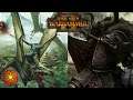 Get In My Swamp. Lizardmen Vs Chaos. Total War Warhammer, Multiplayer