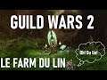 🔴 GUILD WARS 2 LE FARM DU LIN 🌺💰 #GW2