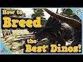 How to BREED the BEST DINOS! - Ark: Survival Evolved Tutorial
