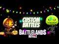LIVE FACECAM Battlelands Royale CUSTOM BATTLES | Battlelands Royale PARTIES PERSOS EN LIVE !