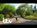 London Zoo Reopens For The First Time Since Lockdown | London Zoo: An Extraordinary Year | ITV