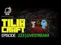 Minecraft: TiliaCraft #223 - Perfecte PRO's