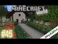 Minecraft World #045 - Tierfriedhof | Minecraft 1.14