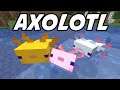 Playing with the Axolotl Mob! (Minecraft 1.17 Snapshot 20w51a)
