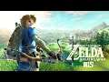 The Legend of Zelda : Breath of The Wild (15/33)