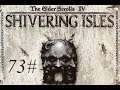 Zagrajmy w The Elder Scrolls IV: Shivering Isles (A teraz ich zabijam... bo proszą o.O) part 73