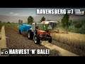 Buying A Harvester & Baler, Harvesting Barley & Canola, Ravensberg #7 Farming Simulator 19 Timelapse