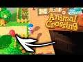 Caminos y Sótano | Animal Crossing New Horizons | MrLokazo86