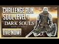 Dark Souls: Remastered | Challenge Run - Soul Level 1 Playthrough [FINALE] LATE NIGHT STREAM