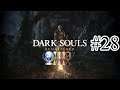 Dark Souls Remastered Platin-Let's-Play #28 | Grabesfürst Nito (deutsch/german)