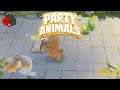 Party Animals #010 🐈 Homerun!!!
