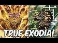 True Exodia vs Super Quantum! (Yugioh TCG)
