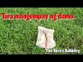 Unli grass Supply | Tito Bern's Rabbitry
