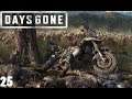 Days Gone - PS4 - Let´s Play 25 - Spiel und Spaß bei der Kopfgeldjagd