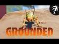 Hunting Bombardier Beetles for the Tier 2 Axe! - Ep8 - Grounded!