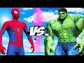 THE AMAZING SPIDER-MAN VS THE INCREDIBLE HULK