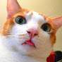 DINOSAURS MEW MEW