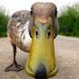 Ducklafied Duck