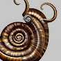 imperialistic snail