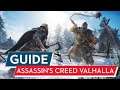 Assassin's Creed Valhalla Guide: Tipps & Tricks für Einsteiger