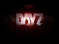 DayZ Vanilla - Astazi Facem Mare Gratar cu Abonatii :))