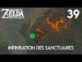 INFINISATION DES SANCTUAIRES - Zelda Breath Of The Wild | 39