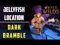 Location of Jellyfish Corpse in Dark Bramble | Outer Wilds