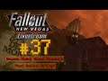 Pelataan Fallout: New Vegas - Livestream - Osa 37 [Dead Money Alkaa]