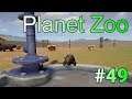 実況 動物観察の刑に処す！「Planet Zoo」#49