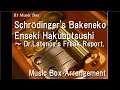 Schrödinger's Bakeneko/Enseki Hakubutsushi ～ Dr.Latency's Freak Report. [Music Box]