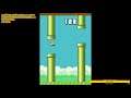 Flappy Bird - Online - World Record
