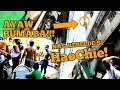 KARERA NG KALAPATI | PHILIPPINES PIGEON STREET RACE. HAOCHIE! Nag Rebelde! Mabigat Na Kaganapan-22k