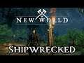 New World - 1 - Shipwrecked