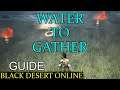 BDO - What kind of water to gather (Guide for Black Desert Online)