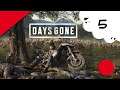 🔴🎮 Days Gone - ps4 - 05