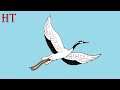 How to Draw a Crane bird easy for Beginners