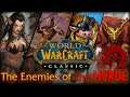 "Why Do I Want Them Dead?" Enemies of the Horde (Classic WoW Lore)