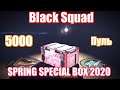 5000 пуль на SPRING SPECIAL BOX 2020 - Black Squad