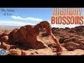 Highway Blossoms 20. The last part of the treasure is at The Valley of Fire. It's always on fire....