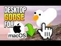 MAC OS: How to Download & Install Desktop Goose on macOS (Mac OS X, MacBook Pro, Air, Mac Pro...)
