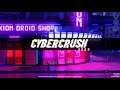 Cyber Crush 2069 Gameplay (PC Game)