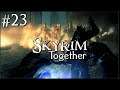 Double the enemies you say? - Skyrim Together: Part 23