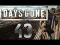 Lets Play Days Gone - Part 43 - Ersäuft wie die Ratten