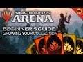 MTG Arena Beginner's Guide: Growing Your Collection