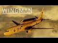 Project Wingman: Gamescom News & Chat with Developer