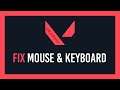Valorant: Fix Disabled Mouse & Keyboard