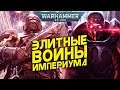 История Warhammer 40k: Милитарум Темпестус