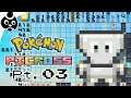 Pokémon Picross [3]: The First 20x15