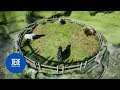 Sheep Collision Gameplay
