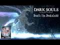 Dark Souls Boss Guide | How to defeat Seath The Scaleless easy (Eng/Sub)